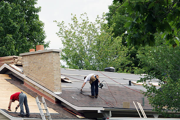 Best Roof Maintenance and Cleaning  in Monticello, GA